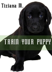 Train Your Puppy