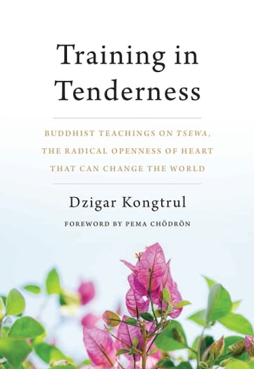 Training in Tenderness - Dzigar Kongtrul