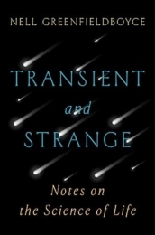 Transient and Strange