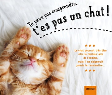 Tu peux pas comprendre, t'es pas un chat ! - Alice Zabée