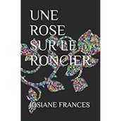 UNE ROSE SUR LE RONCIER