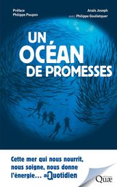 Un océan de promesses