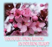 Vancouver s Spring Blossoms