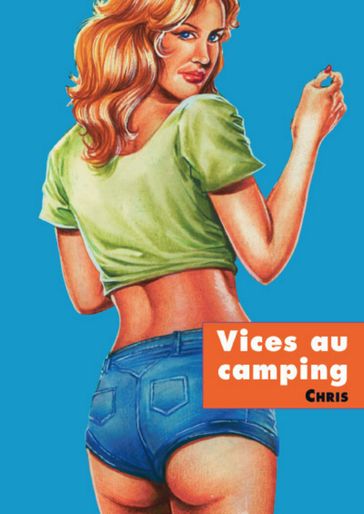 Vice au camping - Pierre Dupuis