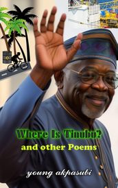 WHERE IS TINUBU AND OTHER POEMS