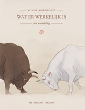 Wat er werkelijk is