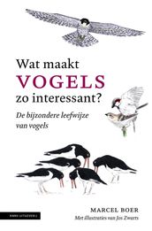 Wat maakt vogels zo interessant