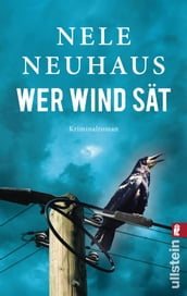 Wer Wind sät