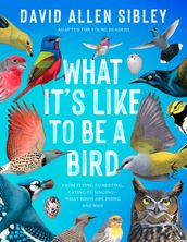 What It s Like to Be a Bird (Adapted for Young Readers)