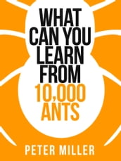 What You Can Learn From 10,000 Ants (Collins Shorts, Book 4)