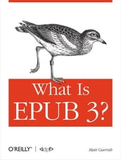 What is EPUB 3?