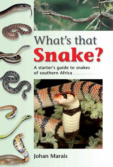 What's that Snake? - Johan Marais