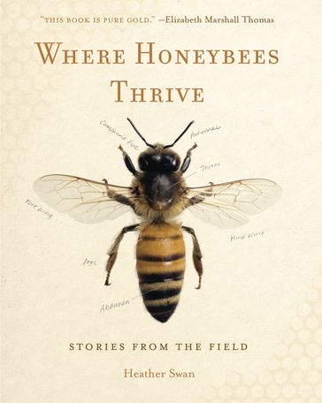 Where Honeybees Thrive - Heather Swan