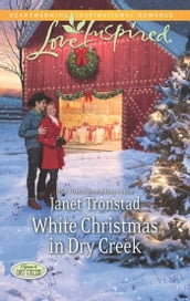 White Christmas In Dry Creek (Return to Dry Creek, Book 5) (Mills & Boon Love Inspired)