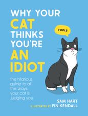 Why Your Cat Thinks You re an Idiot