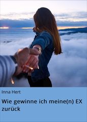 Wie gewinne ich meine(n) EX zurück