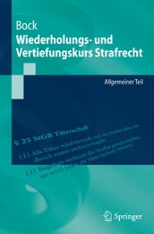 Wiederholungs- und Vertiefungskurs Strafrecht