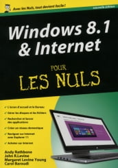 Windows 8.1 et Internet, Mégapoche pour les Nuls