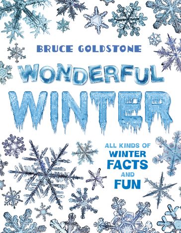 Wonderful Winter - Bruce Goldstone