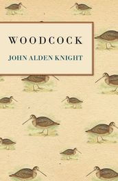 Woodcock