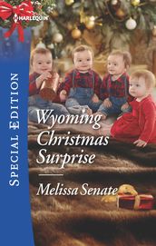 Wyoming Christmas Surprise