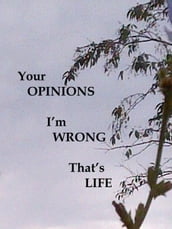 Your Opinions I m Wrong That s Life