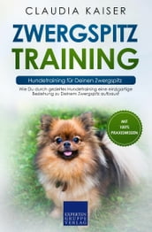 Zwergspitz Training - Hundetraining für Deinen Zwergspitz