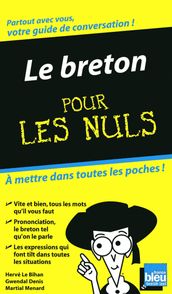 Le breton - guide de conversation pour les nuls