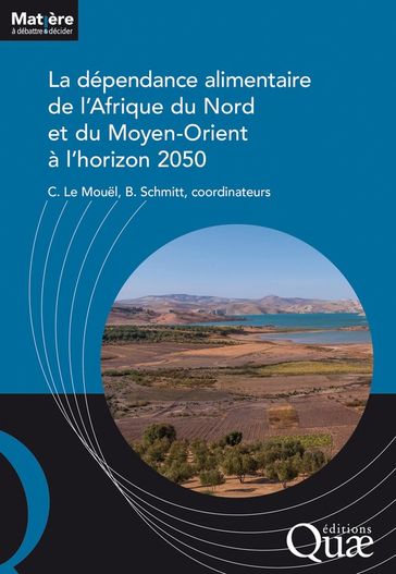 La dépendance alimentaire de l'Afrique du Nord et du Moyen-Orient à l'horizon 2050 - Bertrand Schmitt - Chantal Le Mouel