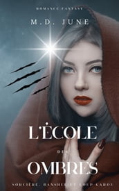 L école des ombres (romance fantasy)