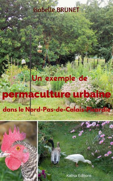 Un exemple de permaculture urbaine dans le Nord-Pas-de-Calais-Picardie - Isabelle BRUNET