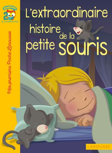 L'extraordinaire histoire de la petite souris - Catherine Mory