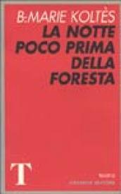 La notte poco prima della foresta