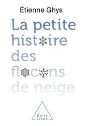 La petite histoire des flocons de neige