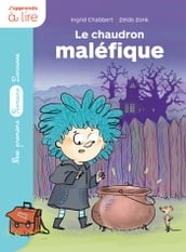 Un sorcier à l école : le chaudron maléfique