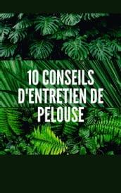 10 CONSEILS D ENTRETIEN DE PELOUSE