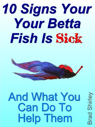 10 Signs Your Betta Fish Is Sick - Brad Shirley