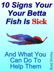 10 Signs Your Betta Fish Is Sick