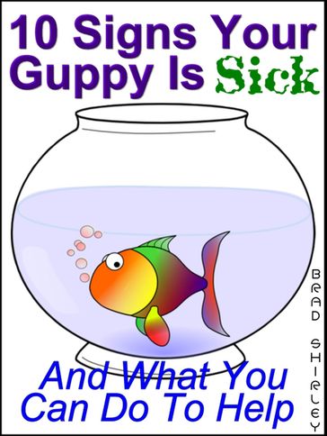 10 Signs Your Guppy Is Sick (And What You Can Do To Help) - Brad Shirley