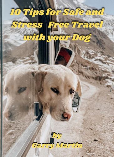 10 Tips for Safe and Stress Free Travel with your Dog - Garry Martin