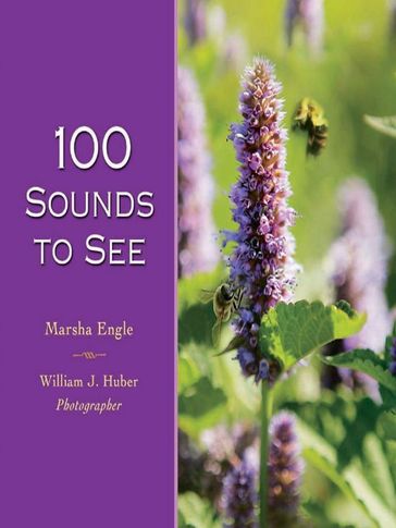 100 Sounds to See - Marsha Engle - William Huber