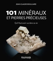 101 minéraux et pierres précieuses