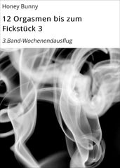 12 Orgasmen bis zum Fickstuck 3