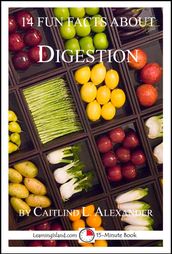 14 Fun Facts About Digestion: A 15-Minute Book