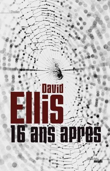 16 ans après - David Ellis
