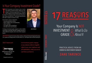 17 Reasons Your Company Is Not Investment Grade & What To Do About It - Joseph De Sciose - Zane Tarence