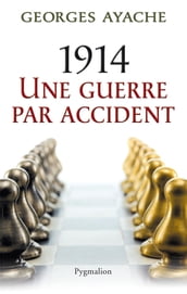 1914. Une guerre par accident
