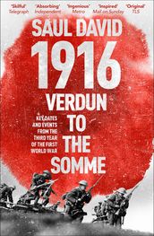 1916: Verdun to the Somme