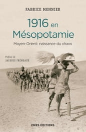 1916 en Mésopotamie. Moyen Orient : naissance du chaos