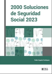 2000 Soluciones de Seguridad Social